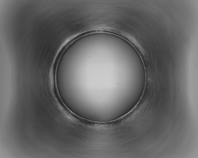 X0000113101032200909041222
