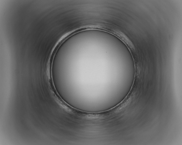 X0000113101036200909041222