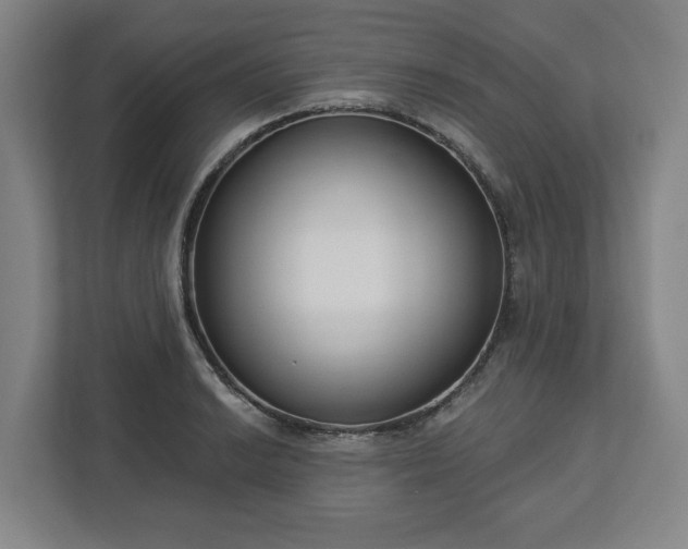 X0000113101038200909041222