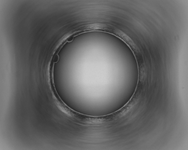 X0000113101039200909041222