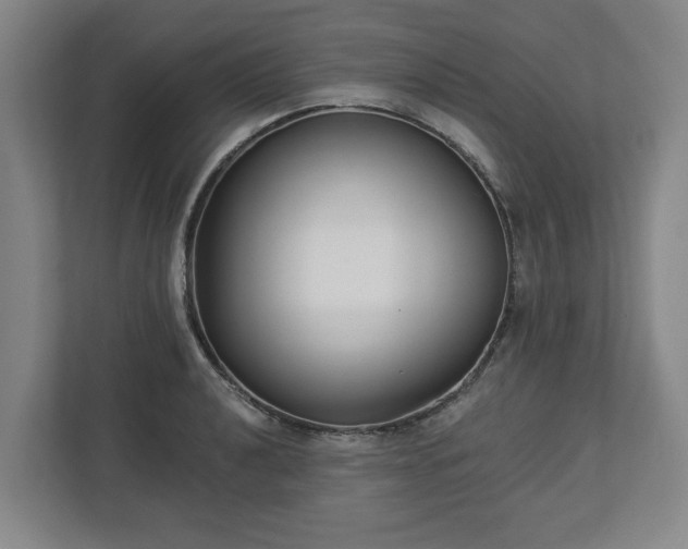 X0000113101040200909041222
