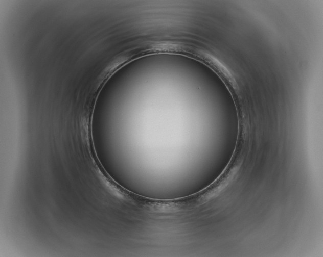 X0000113101041200909041222
