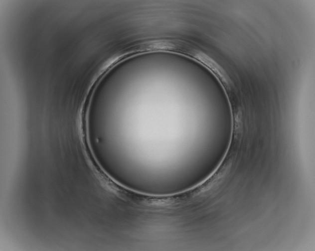 X0000113101047200909041222