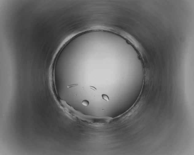 X0000113101048200909041222