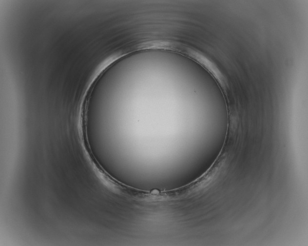 X0000113101050200909041222