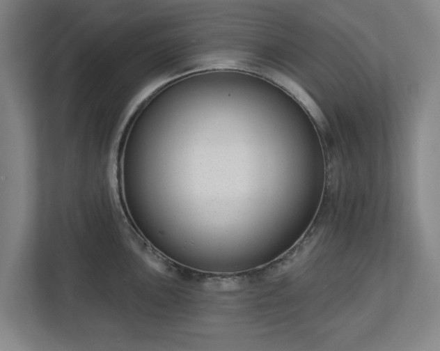 X0000113101051200909041222
