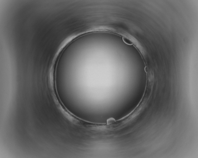 X0000113101054200909041222