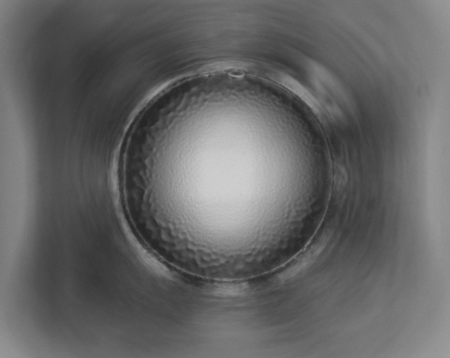 X0000113101055200909041222
