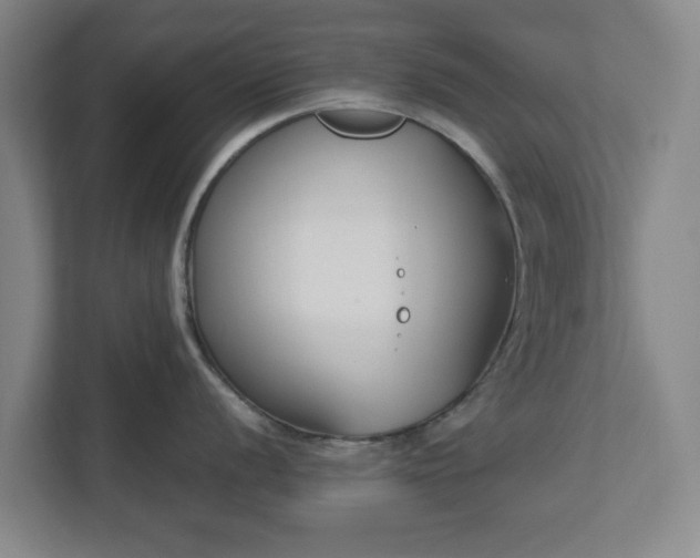 X0000113101056200909041222