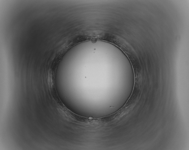 X0000113101058200909041221