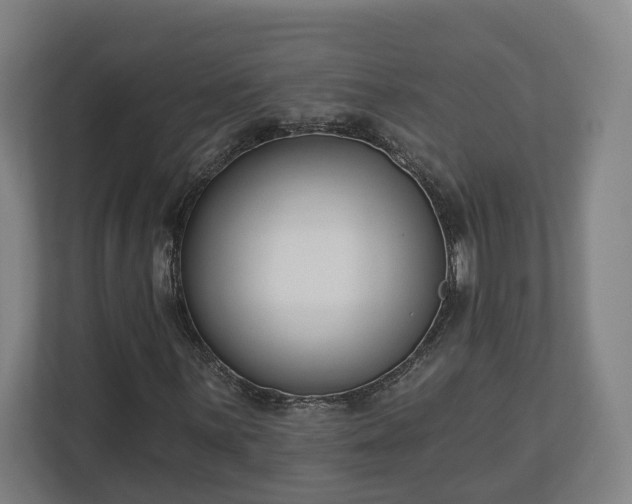 X0000113101059200909041221