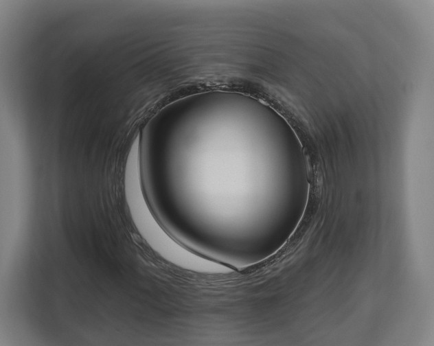X0000113101060200909041221