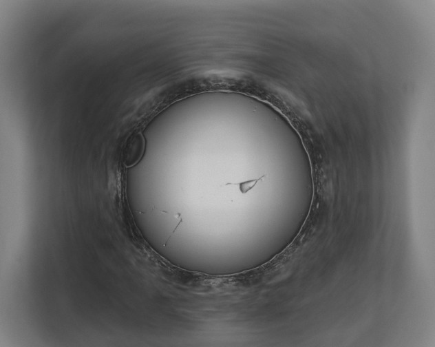 X0000113101061200909041221