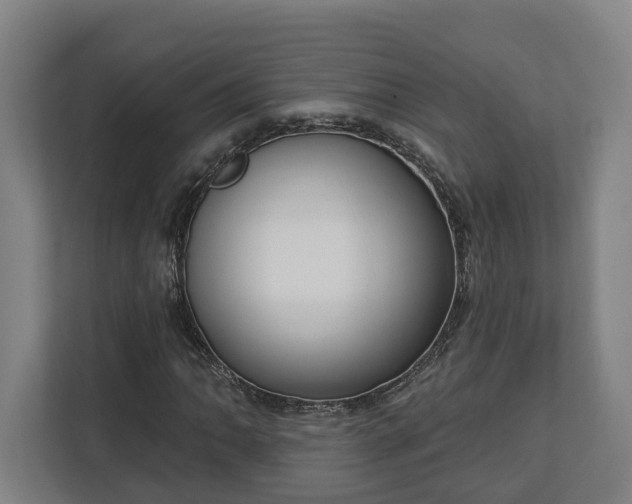 X0000113101062200909041221