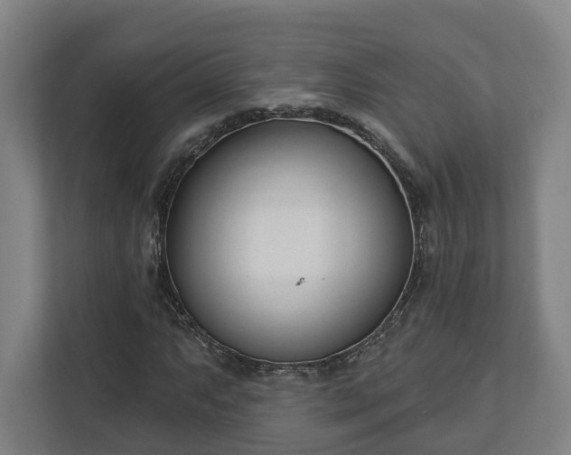 X0000113101063200909041221