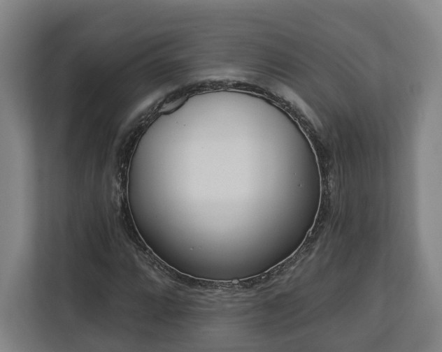 X0000113101064200909041221