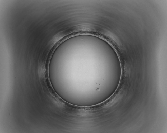 X0000113101065200909041221