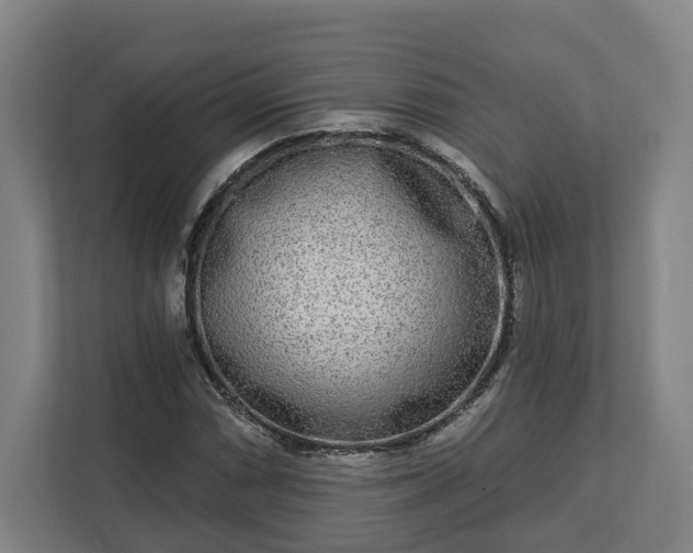X0000113101066200909041221