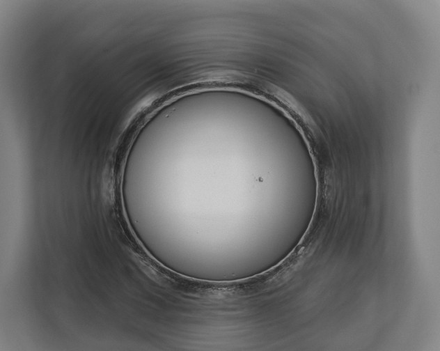 X0000113101067200909041221