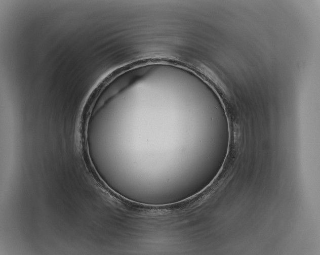X0000113101068200909041221