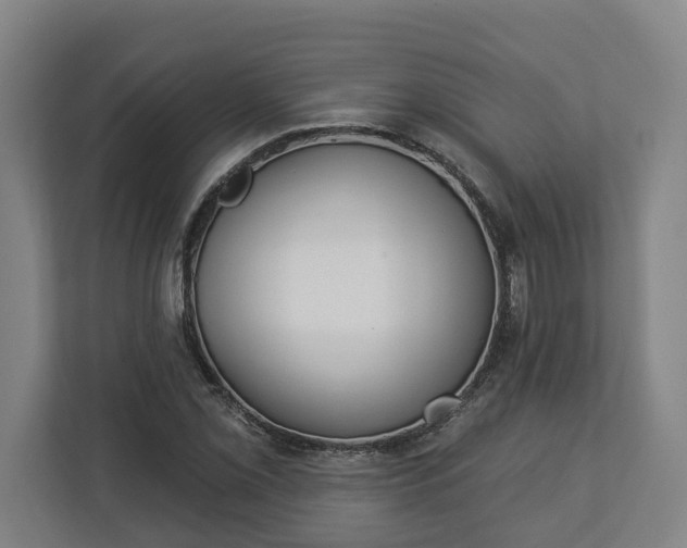 X0000113101069200909041221