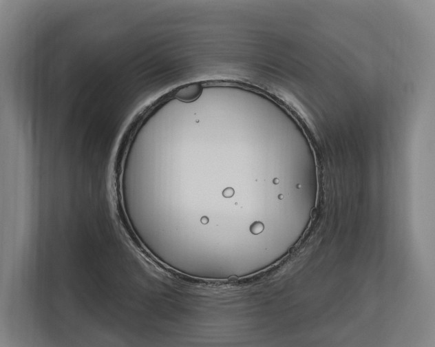 X0000113101072200909041221
