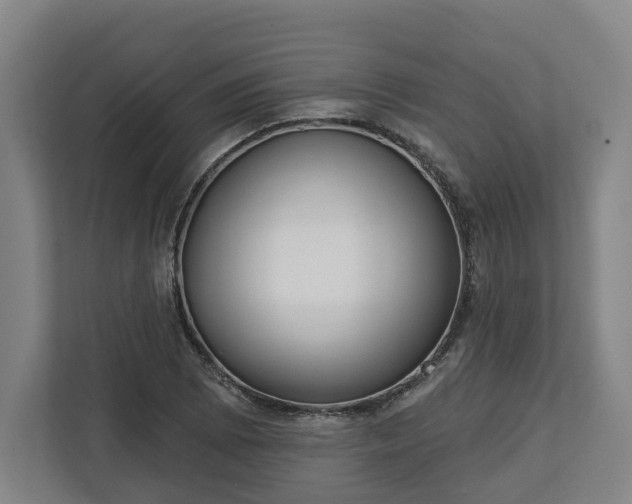 X0000113101073200909041221