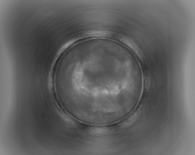 X0000113101074200909041221