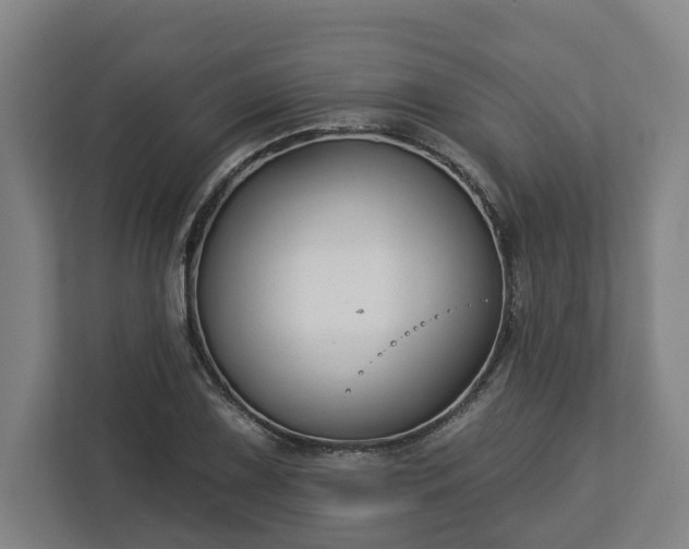 X0000113101075200909041221