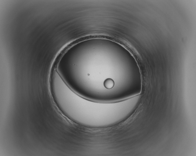 X0000113101076200909041221