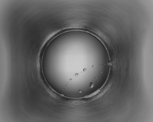 X0000113101077200909041221