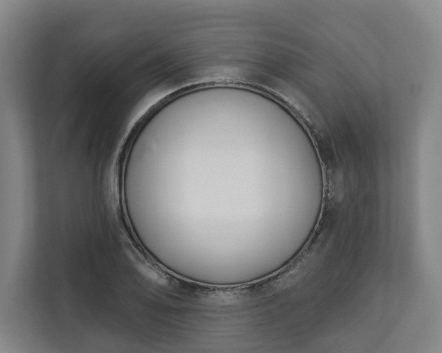 X0000113101078200909041221