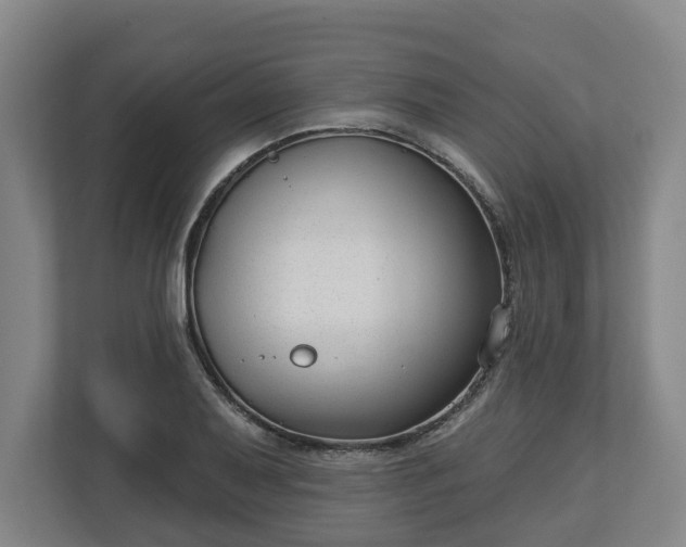 X0000113101079200909041221