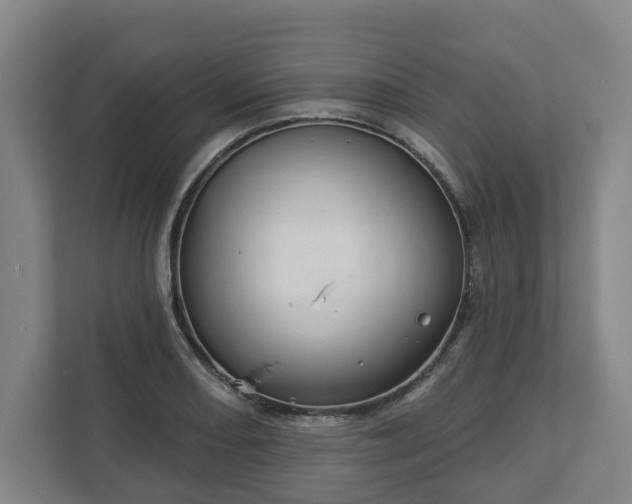 X0000113101082200909041221