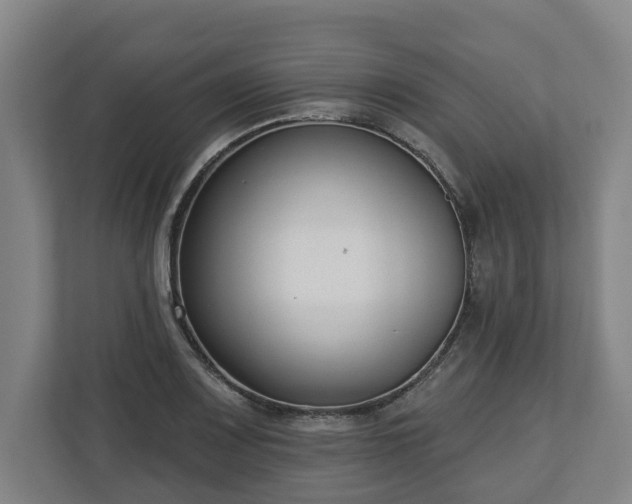 X0000113101083200909041221