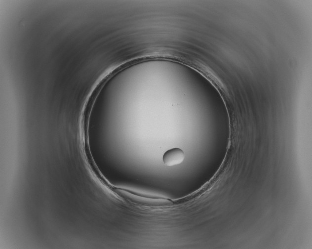 X0000113101084200909041221