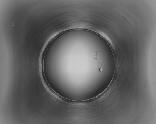 X0000113101088200909041221