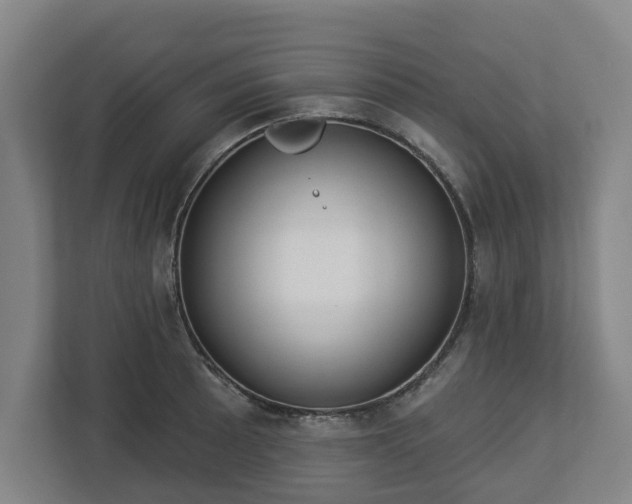 X0000113101089200909041221