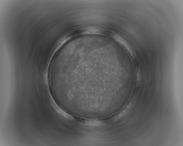 X0000113101090200909041221