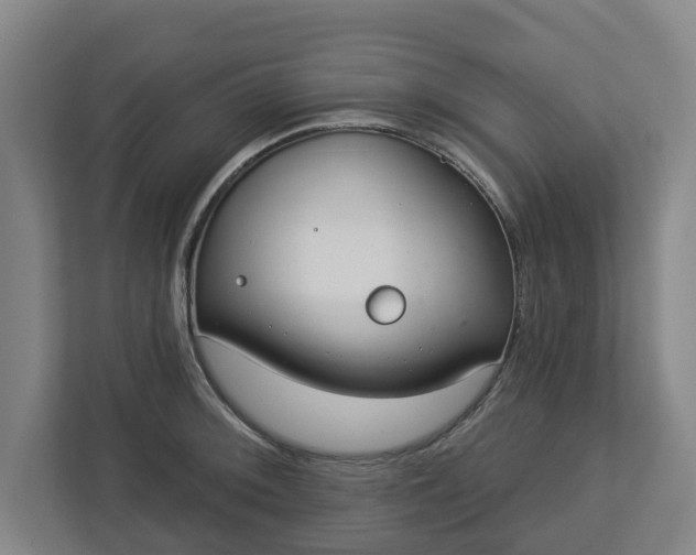 X0000113101092200909041221