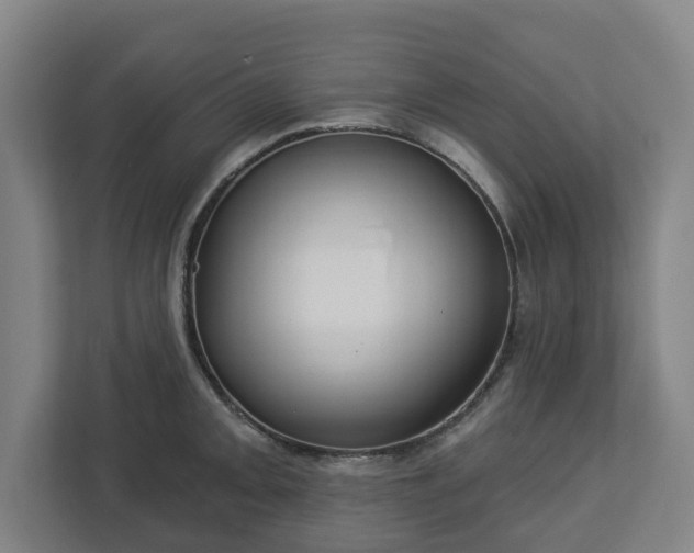 X0000113101093200909041221