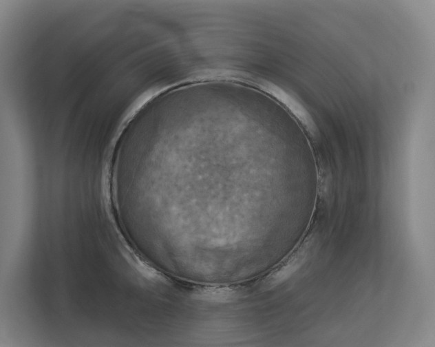 X0000113101094200909041221