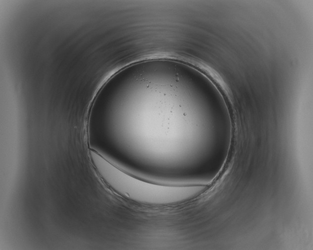 X0000113101097200909041221