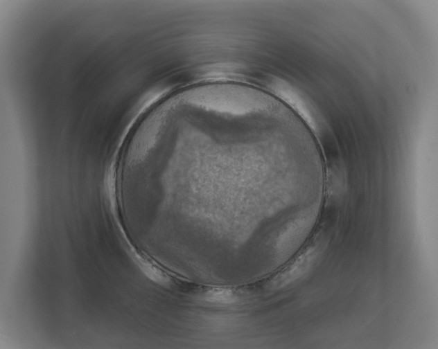 X0000113101098200909041221
