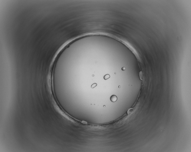 X0000113101100200909041221
