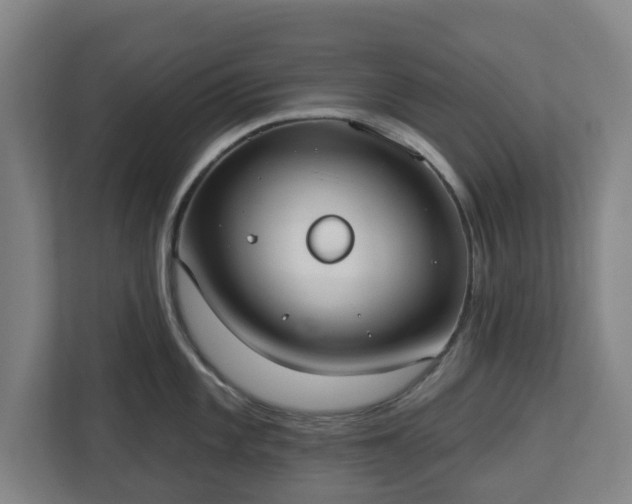 X0000113101101200909041221