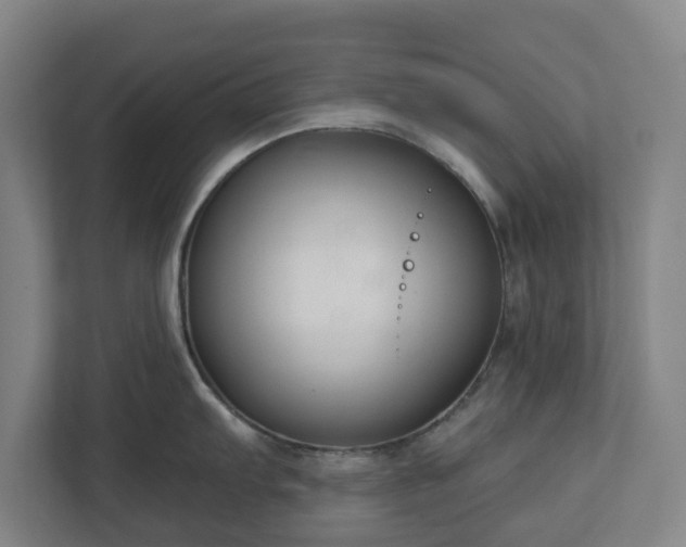 X0000113101103200909041221
