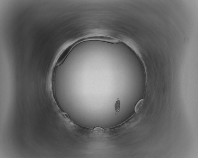 X0000113101104200909041221
