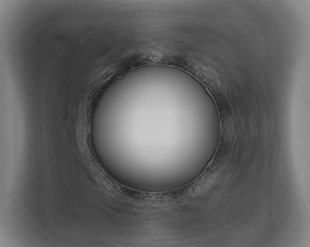 X0000113101105200909041220