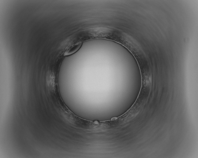 X0000113101108200909041220